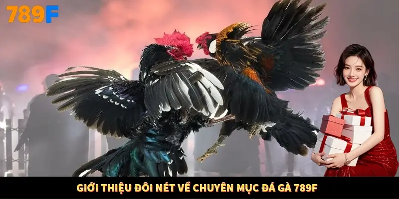 Giới thiệu đôi nét về chuyên mục đá gà 789F