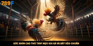 Góc Nhìn Cao Thủ 789F Mẹo Soi Gà và Bắt Kèo Chuẩn