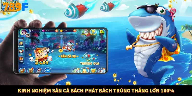 Kinh nghiệm săn cá bách phát bách trúng thắng lớn 100%