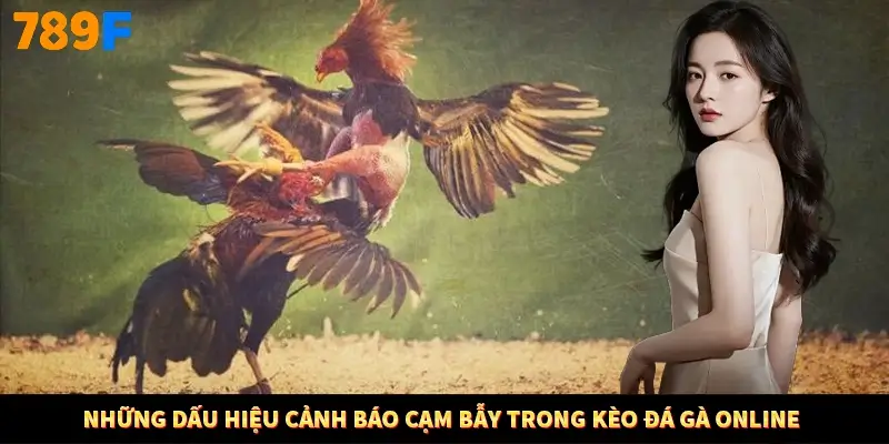 Những dấu hiệu cảnh báo cạm bẫy trong kèo đá gà online Những dấu hiệu cảnh báo cạm bẫy trong kèo đá gà online