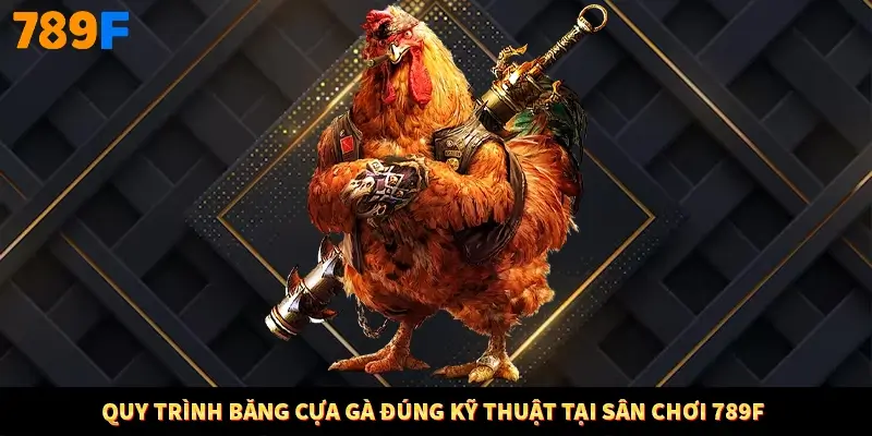 Quy trình băng cựa gà đúng kỹ thuật tại sân chơi 789F